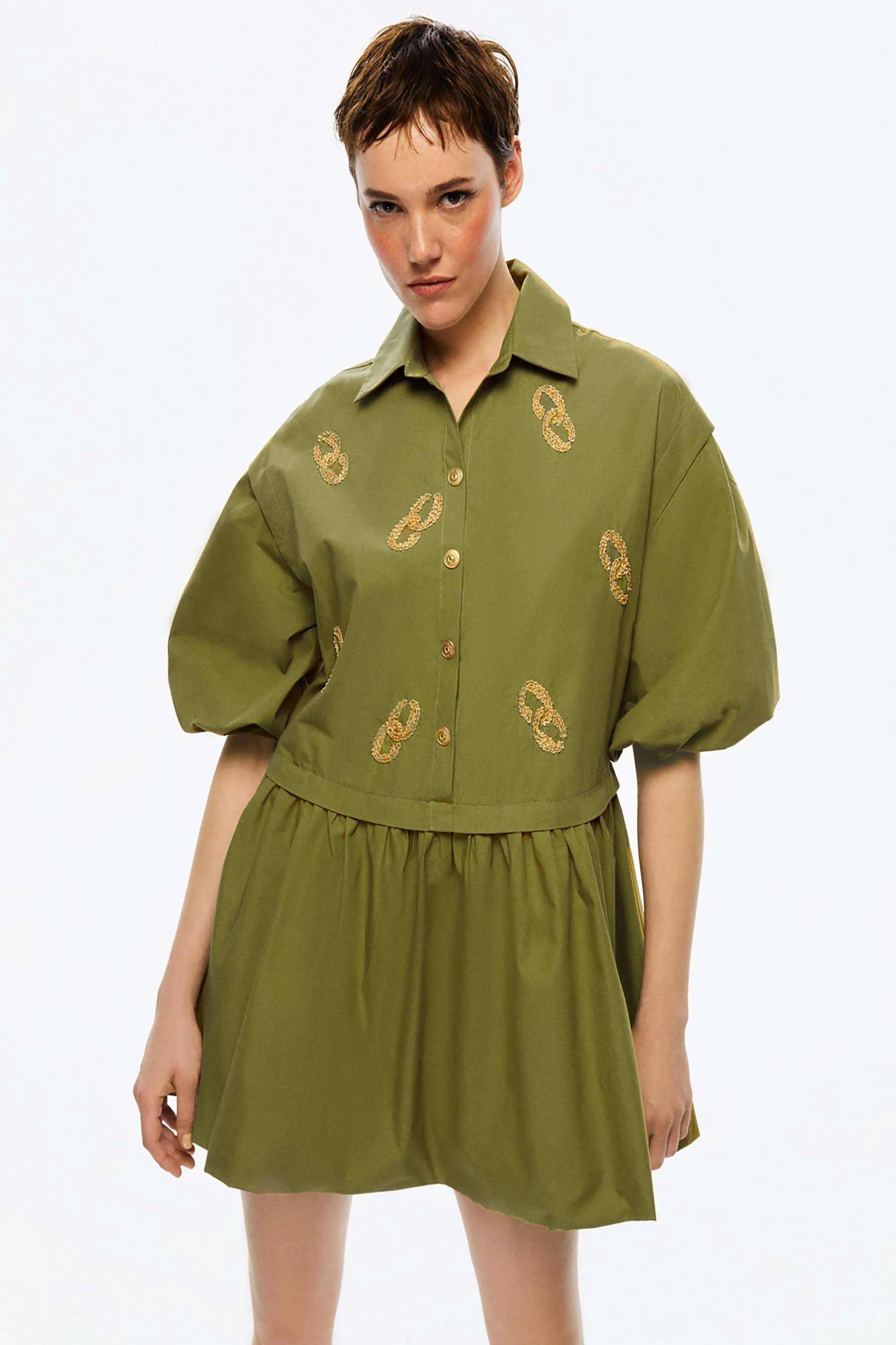 Embroidered Balloon Sleeve Dress (Final Sale)