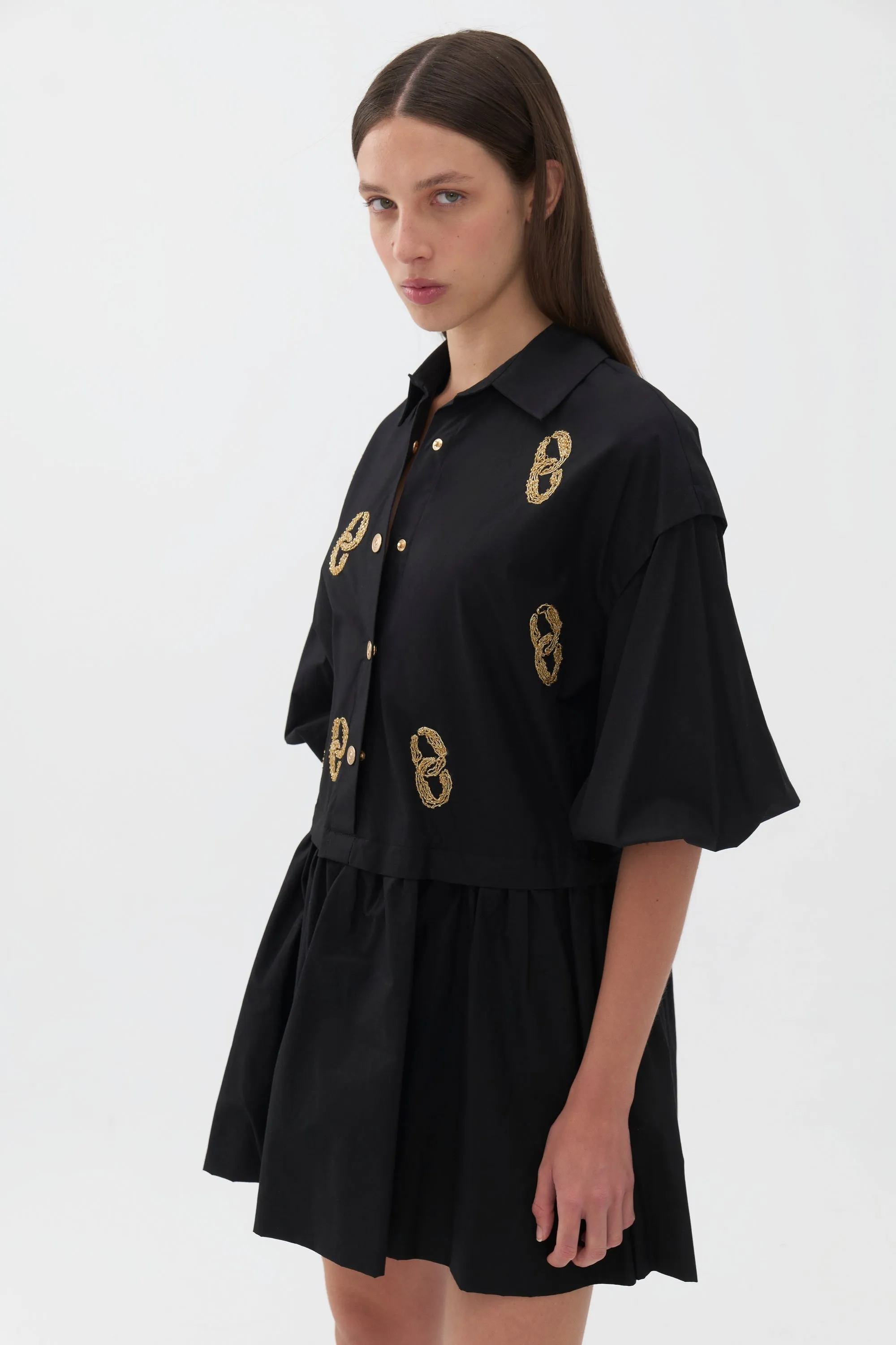 Embroidered Balloon Sleeve Dress (Final Sale)