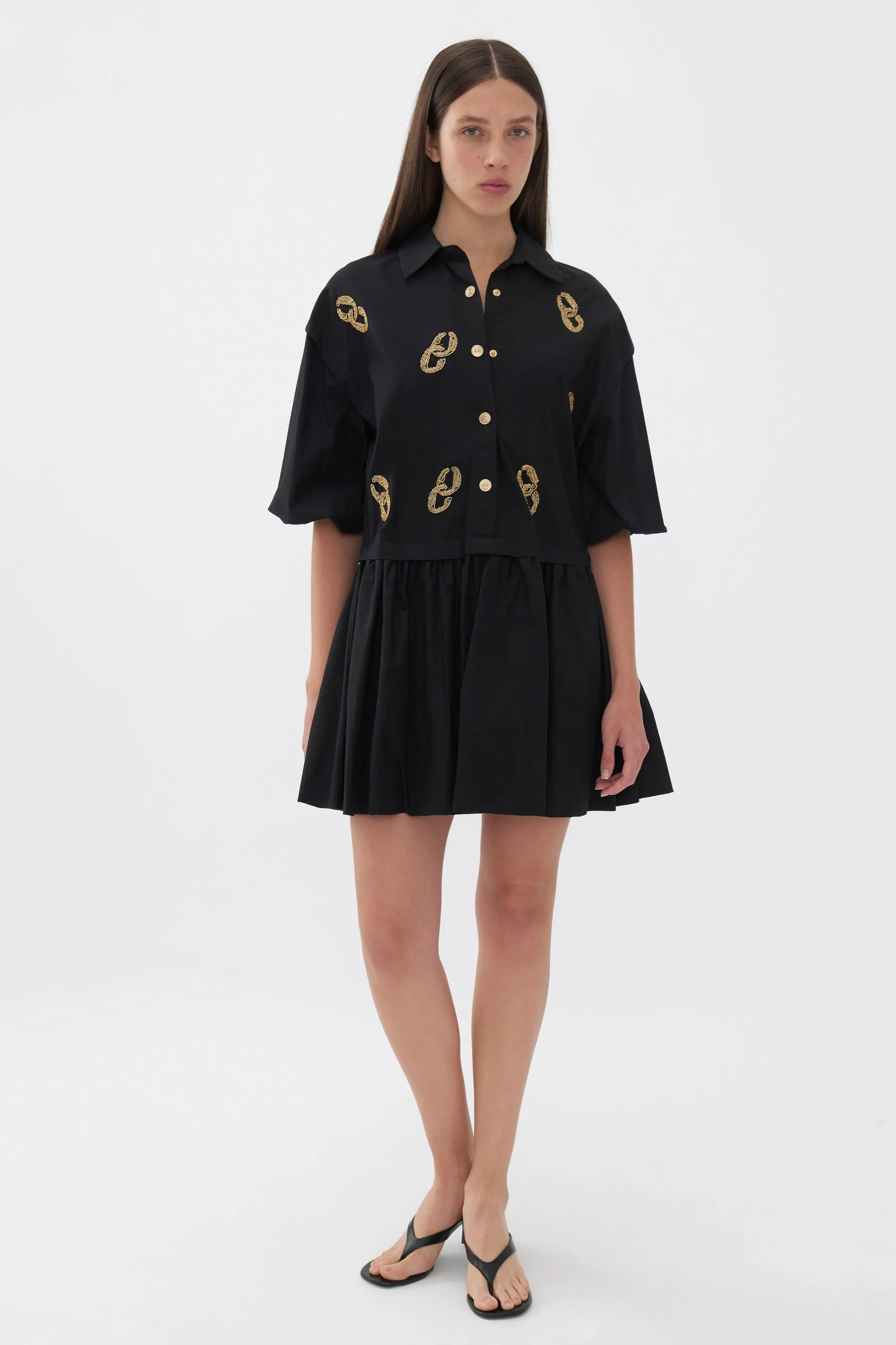 Embroidered Balloon Sleeve Dress (Final Sale)