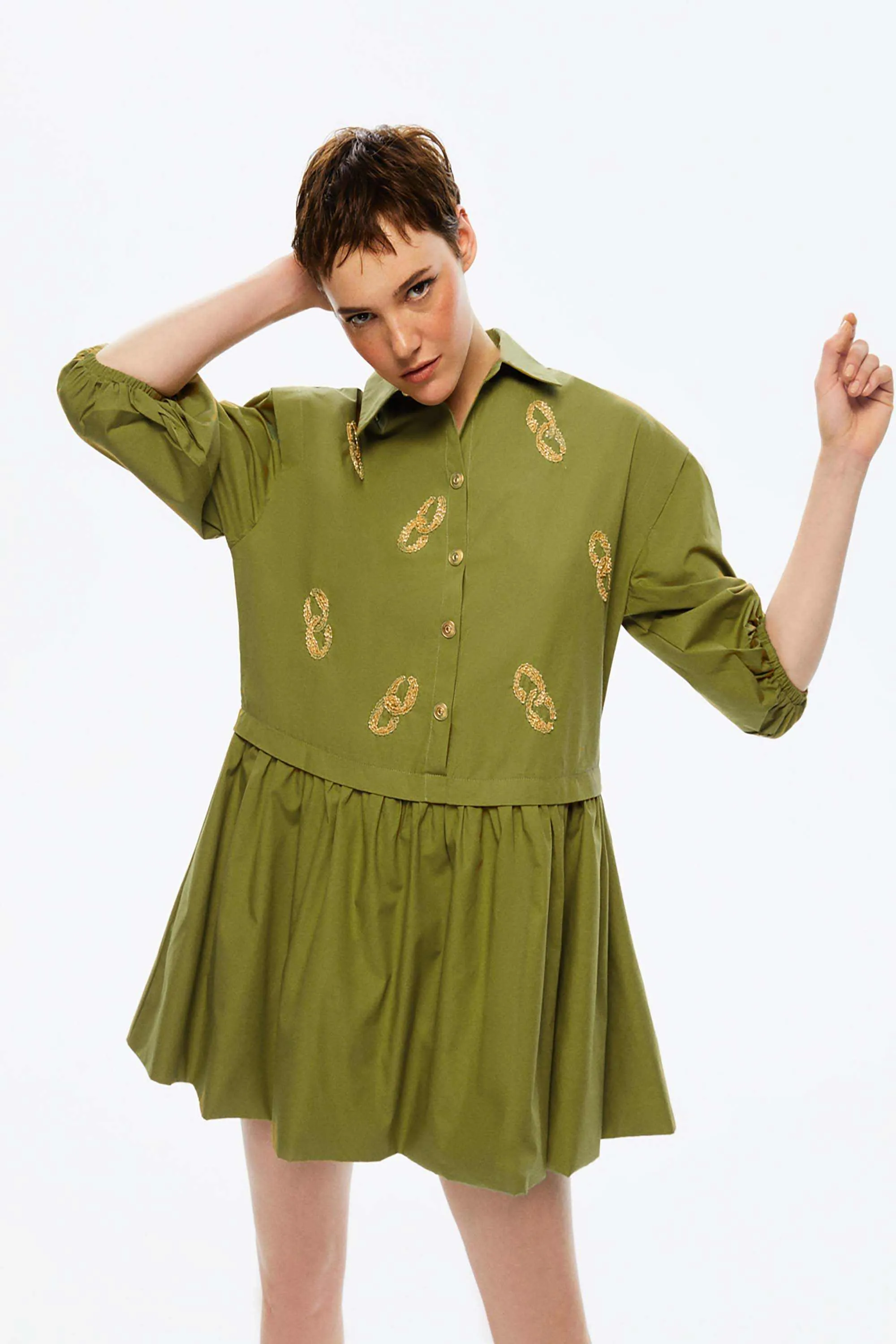 Embroidered Balloon Sleeve Dress (Final Sale)