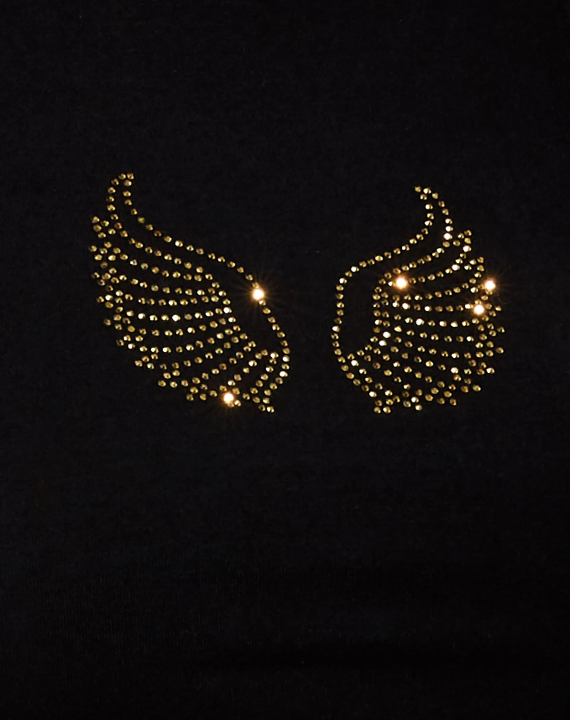 Givas Crop Top in Black with Gold Angel Wings Hotfix